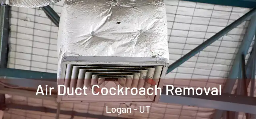 Air Duct Cockroach Removal Logan - UT