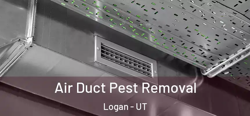 Air Duct Pest Removal Logan - UT