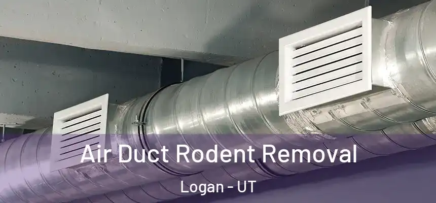 Air Duct Rodent Removal Logan - UT