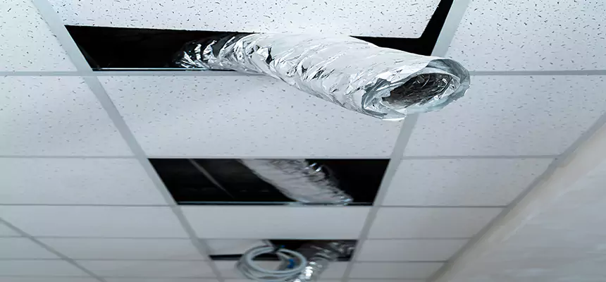 Affordable HVAC Sanitizing After Pest Removal in Logan