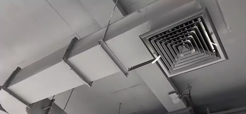 Restorative Allergy Relief Vent Cleaning – Coil, Blower & Housing Detail in Logan