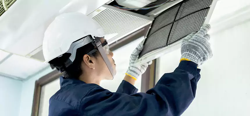 Our Mold & Mildew Removal from Air Ducts Services in Logan, UT