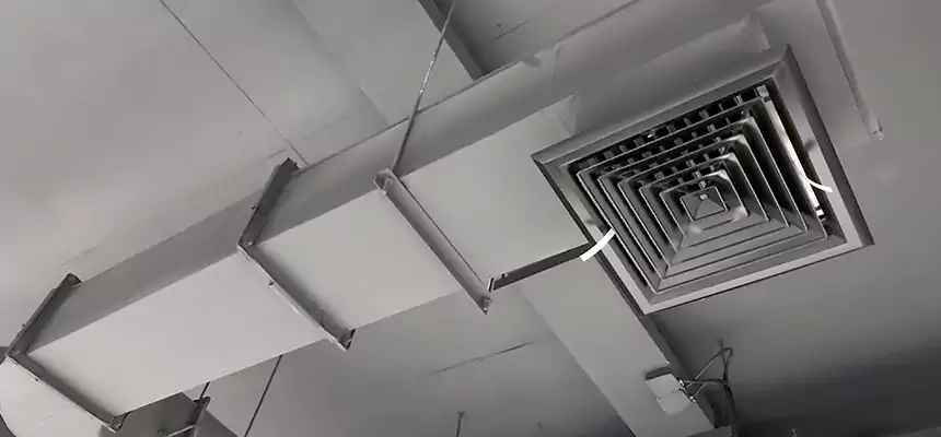 Our Pest Removal From Ducts Services in Logan, UT