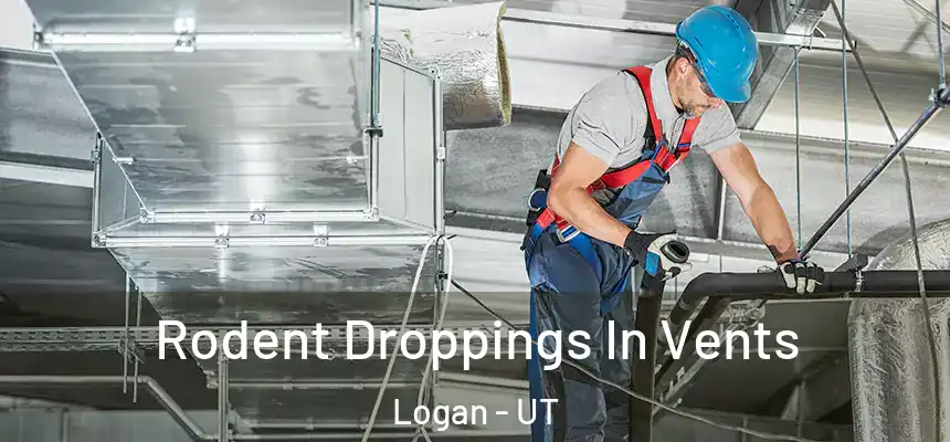 Rodent Droppings In Vents Logan - UT