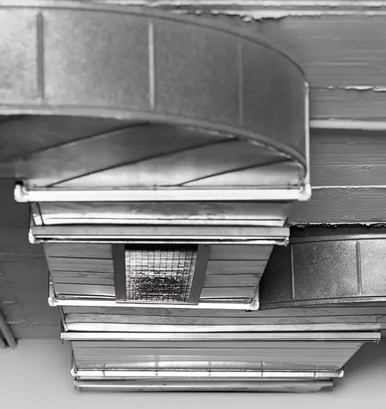 Professional Air Duct Pet Hair Removal in Logan, UT