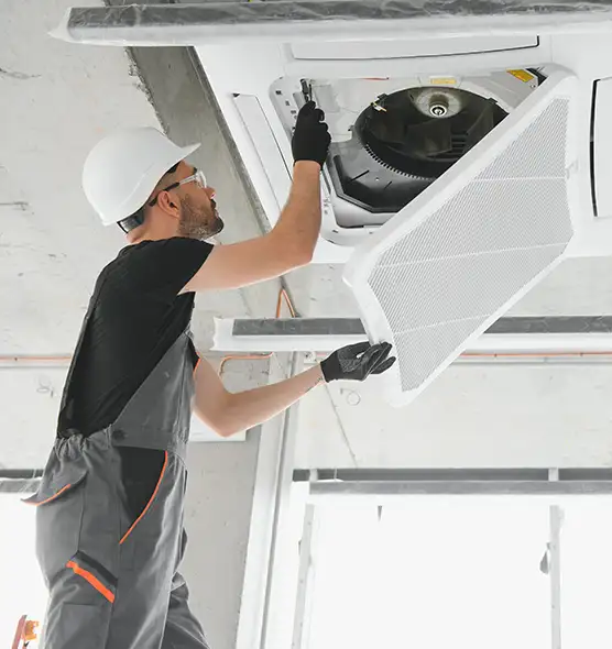 About Air Duct Rodent Removal in Logan, UT