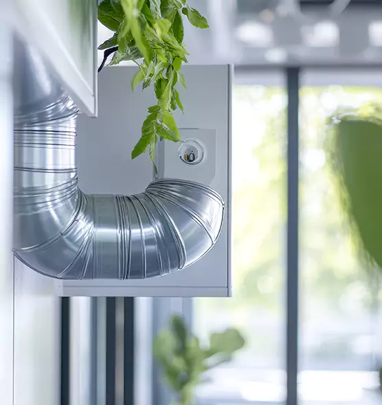 Professional Eco-Friendly Duct Cleaning Services in Logan, UT